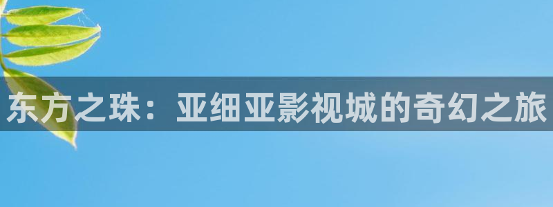 黑白森林电视剧免费观看策驰影院