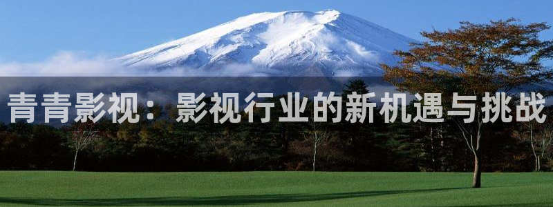 护心电视剧策驰影院